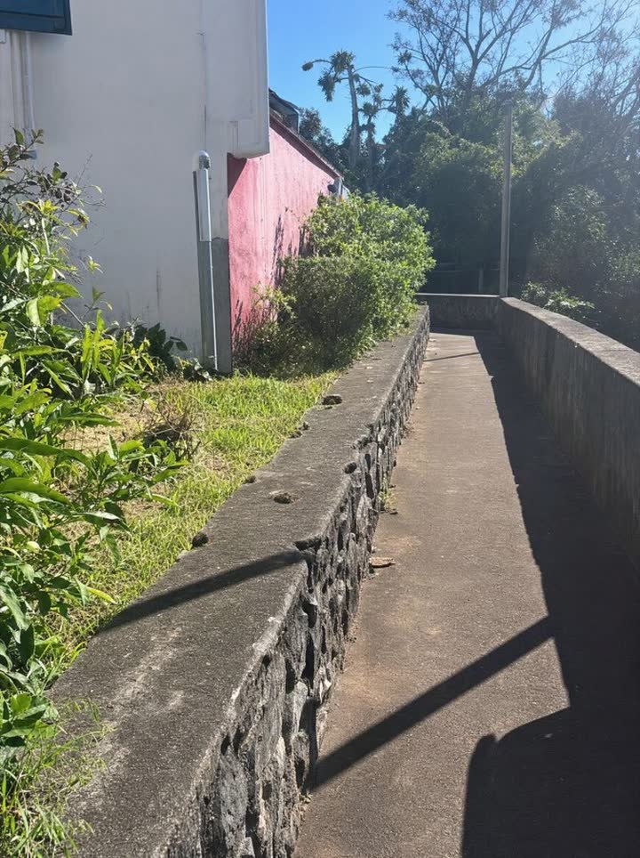 Muret ancien avant travaux